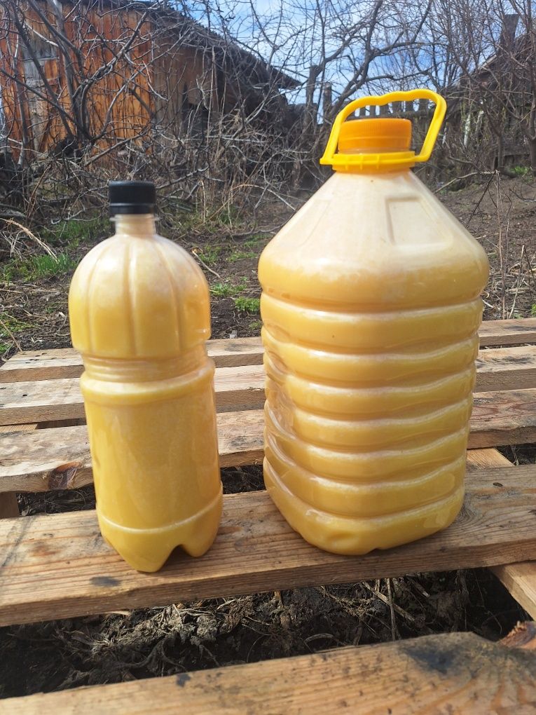 Продам мёд разнотравье