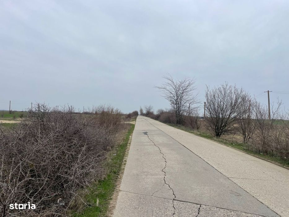 Giurgiu-Bolintin-Marsa 8.5 HA