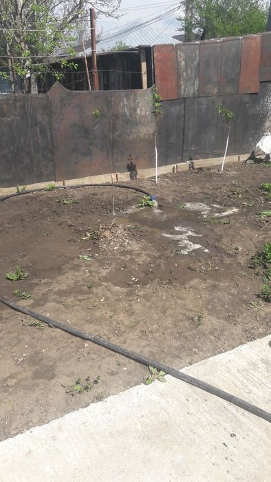 Foraje Puturi Apa Si Denisipari