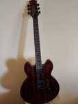 elektro akustichna kitara Tanglewood