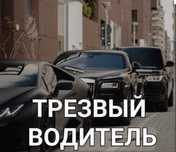 Трезвый водитель