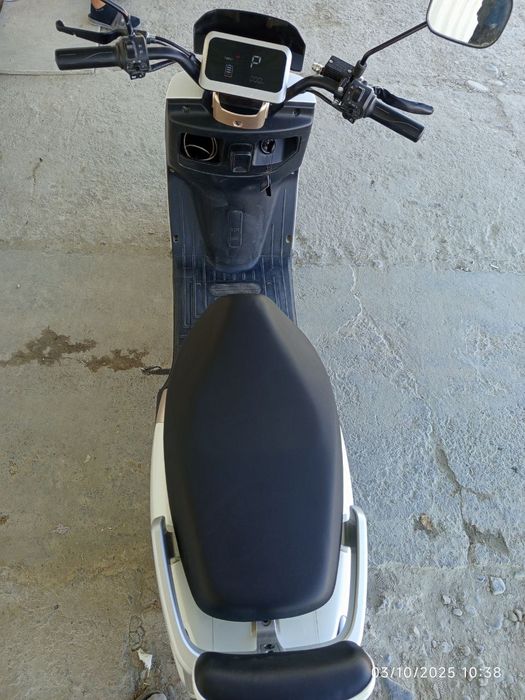 100 kafolati yaxshi