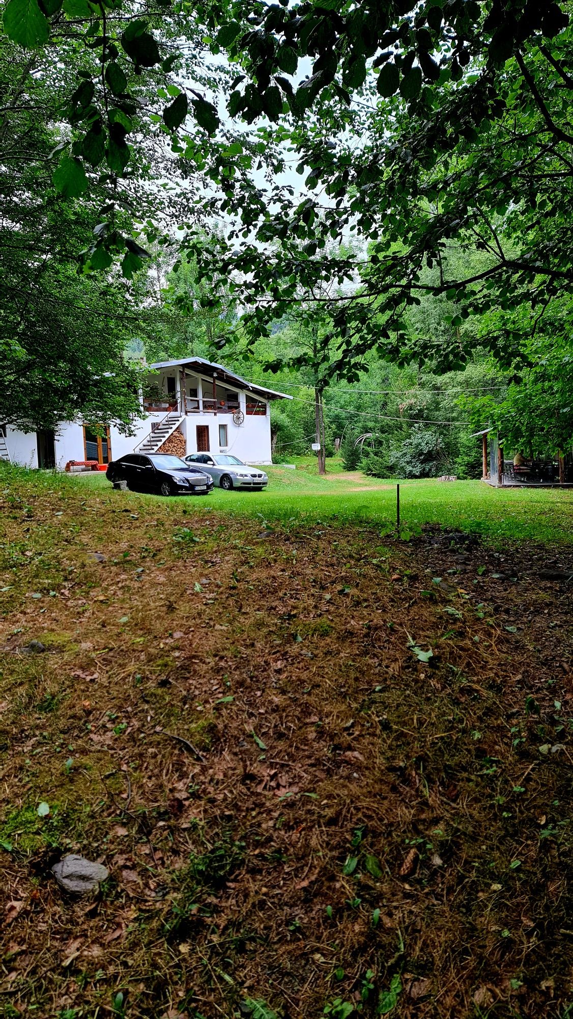 Cabana de închiriat/ Cazare