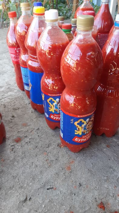 Продаю кобру (домашняя).остроя горкой