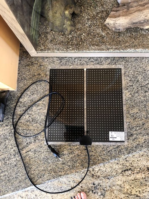 Терариум за гекон