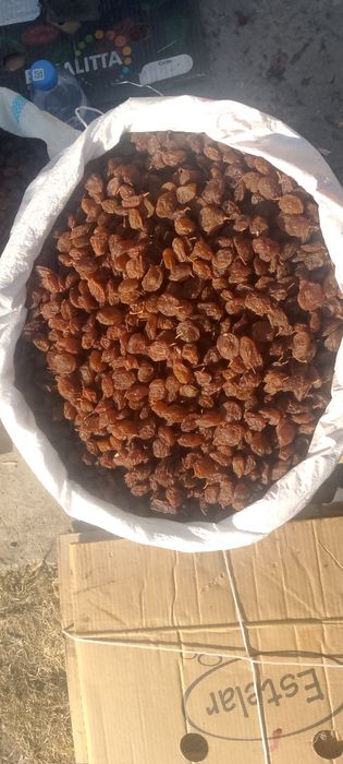 Narhi kelishiladi har xilidan bor.