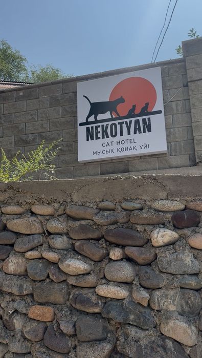 Сдам помещение в зоогостинице грумеру