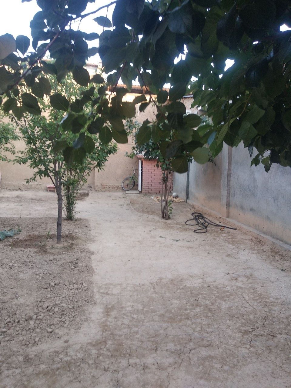 Ijaraga quruq yer beriladi