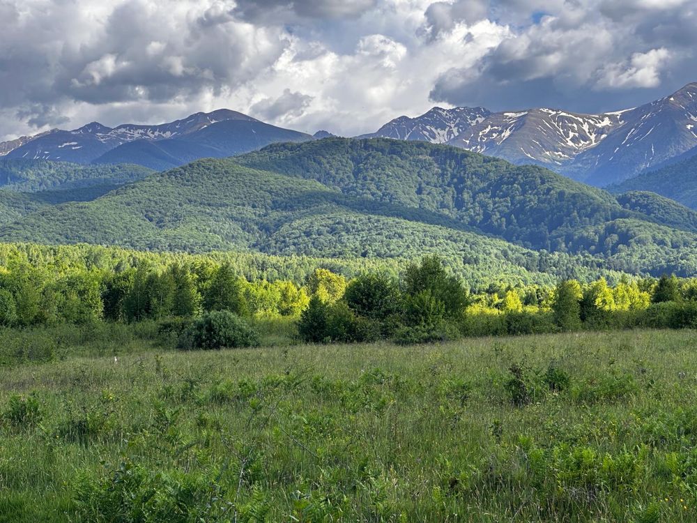 Teren intravilan Valea Avrigului  860 mp