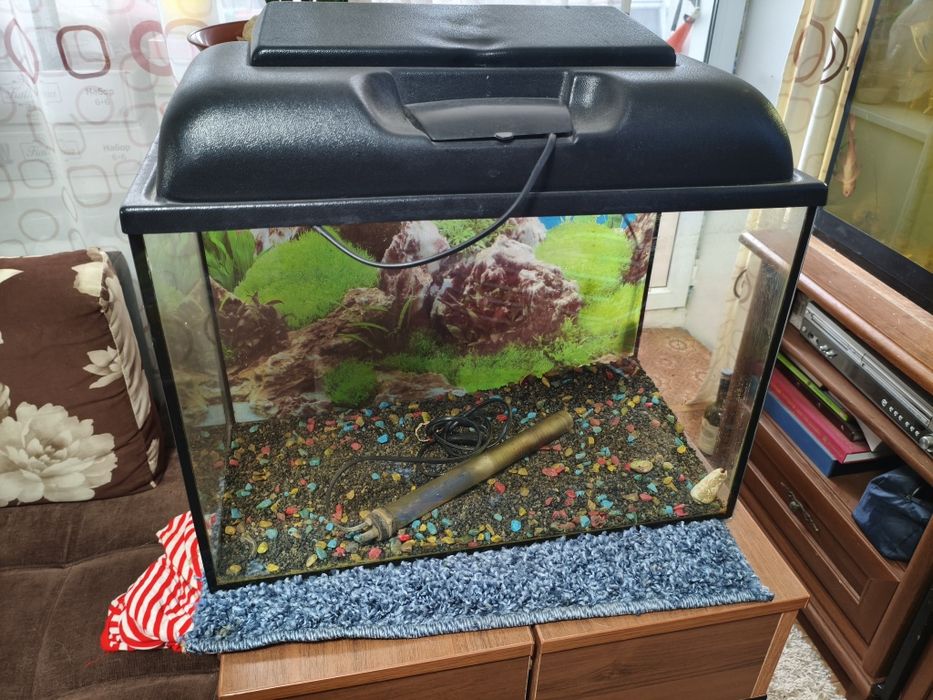 Аквариум для дома