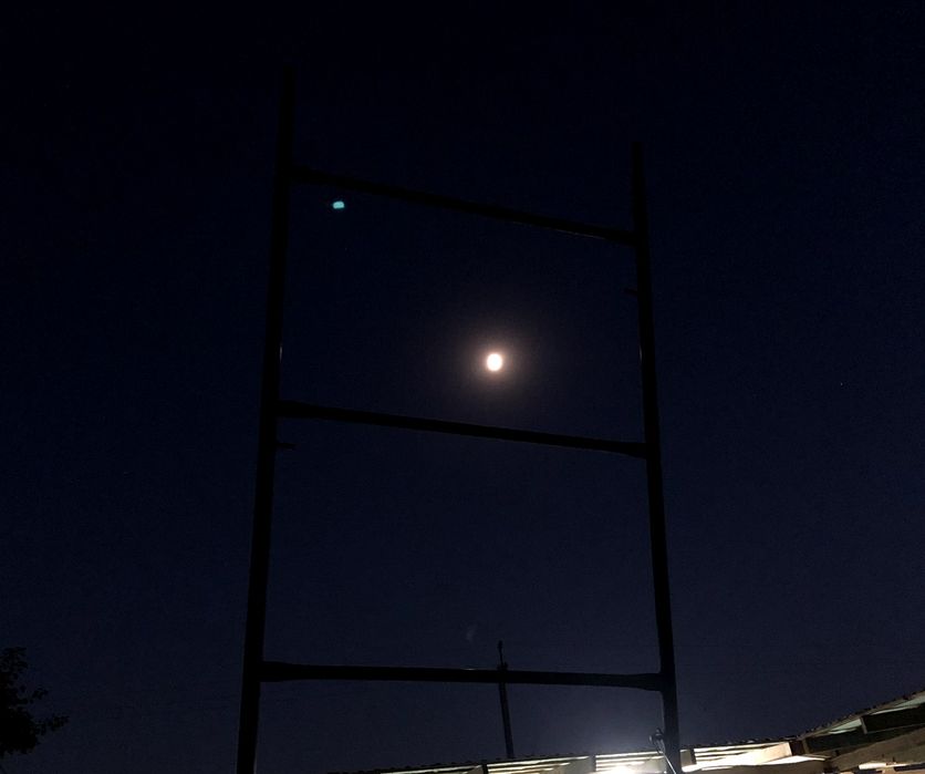 Леса /Сотув Леса Продажа