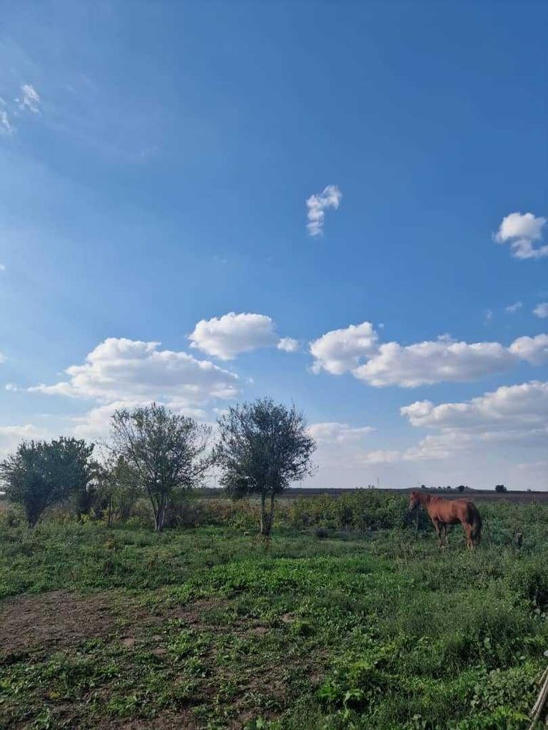 Продава се Парцел в с. Полковник Минково, Област Добрич - 1500 кв.м за 7 €/кв.м - Снимка #1