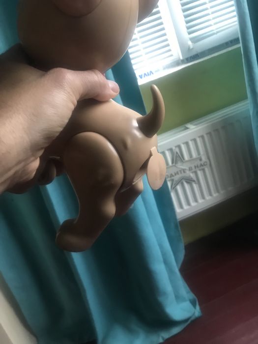 Акащо куче