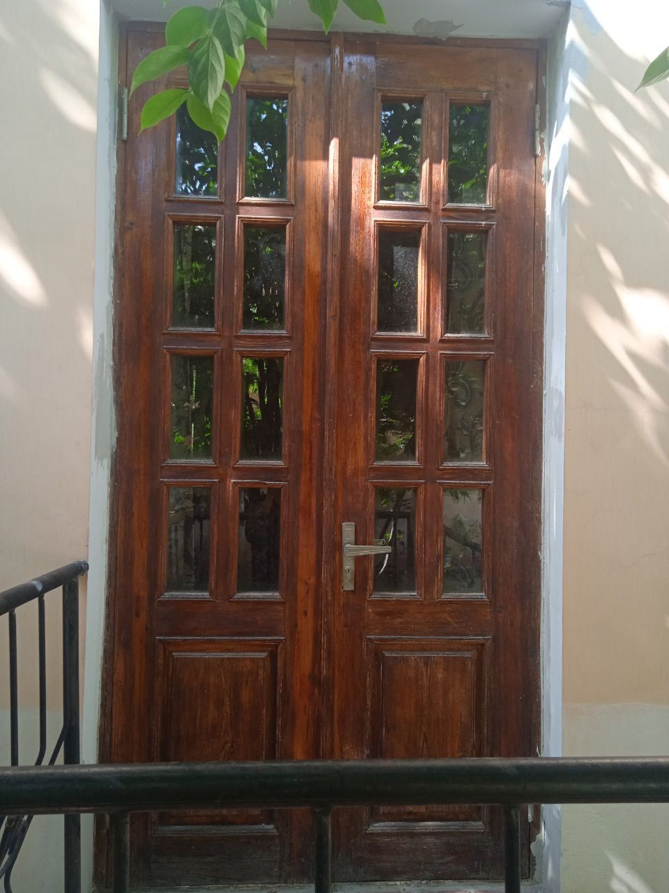 Дверь из древесины