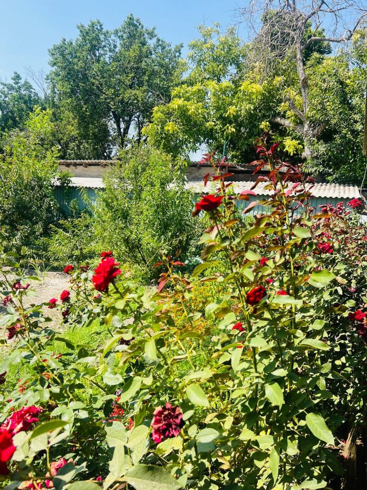 Juda tez va arzon DALA HOVLI UCHASTKA 52000