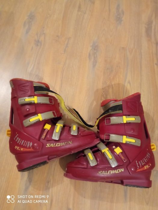 Clapari salomon evolution