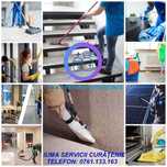 Curatenie generala constructor injectie-extractie  saltea canapea auto