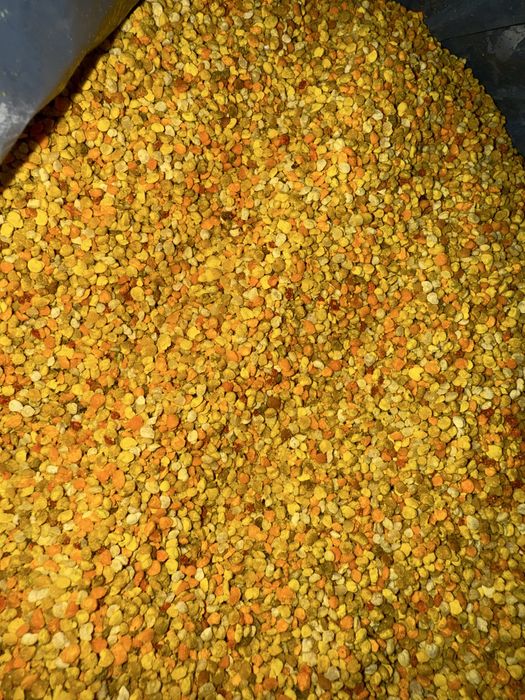 Polen poliflor de vânzare