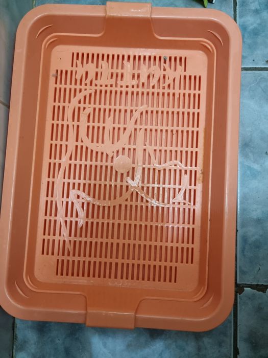Продам лоток для кошек