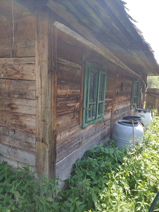 Vând grajd și bucătărie