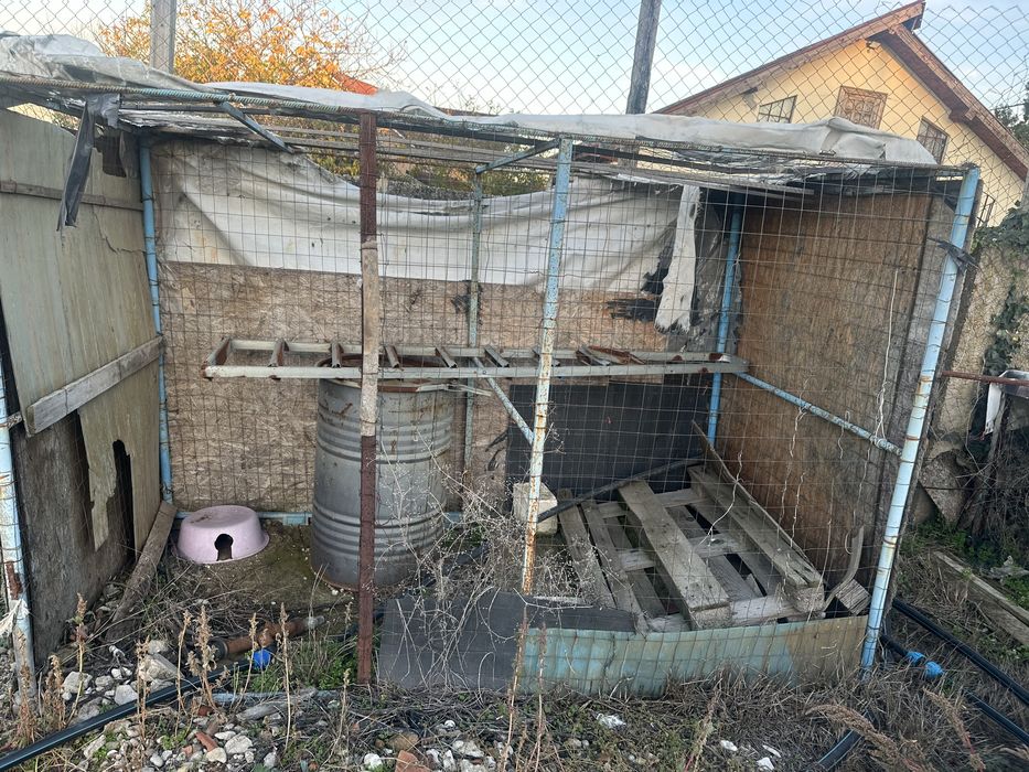 Cusca pentru pasari sau animale