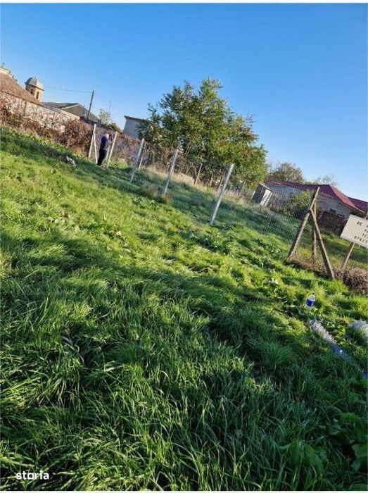 Teren Intravilan  |  Murfatlar  |  Constanta