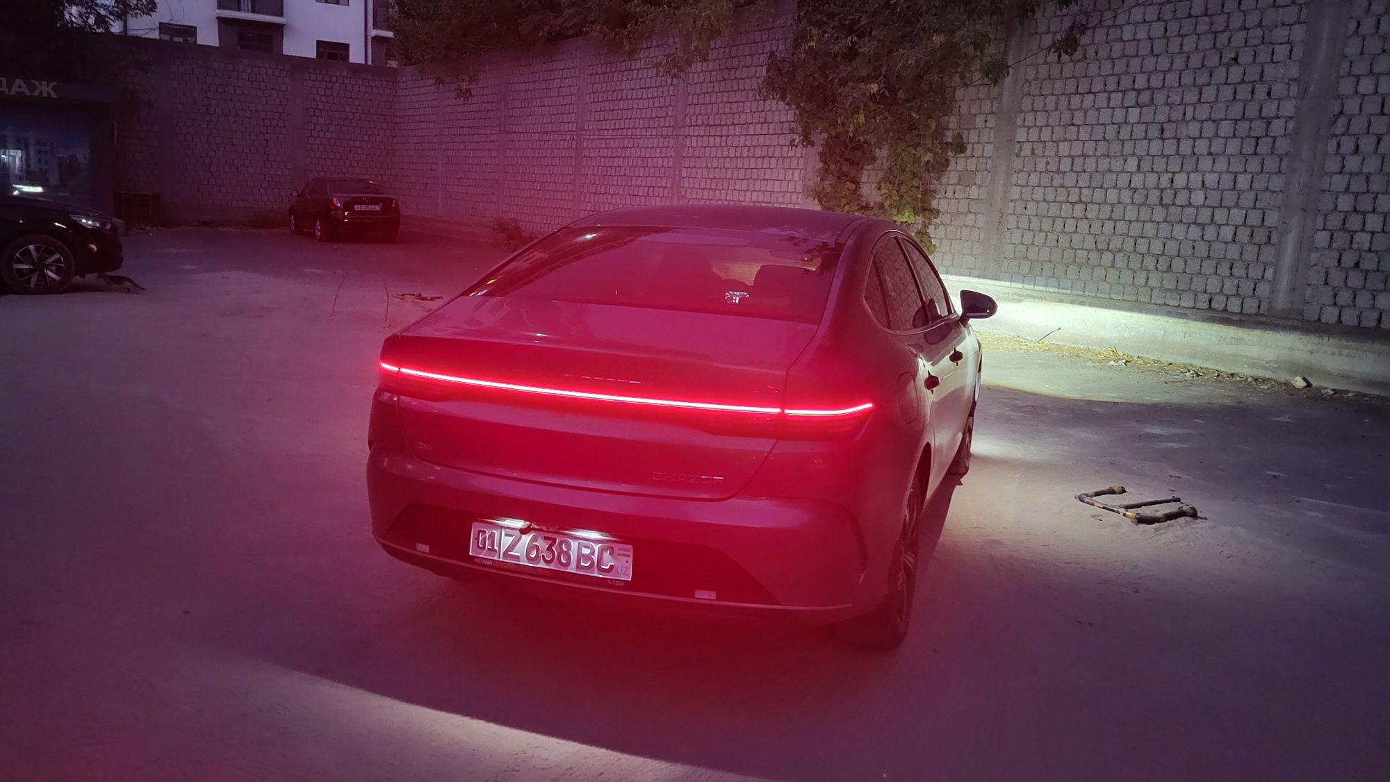 BYD Chazor, 3 позиция