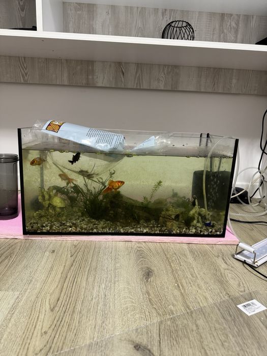 Acvariu 60l cu filtru si pompa de aer