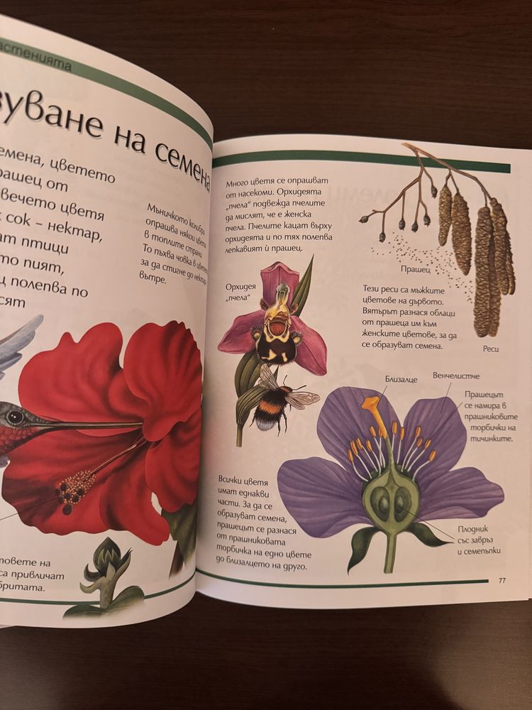 Детска енциклопедия