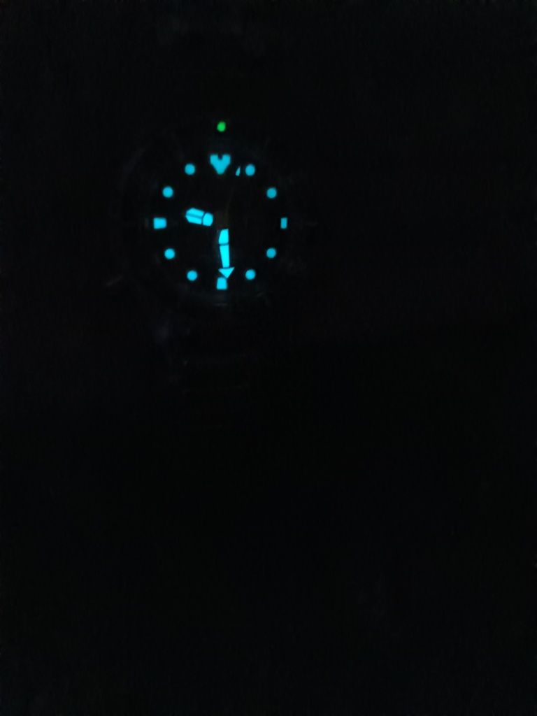 Citizen promaster