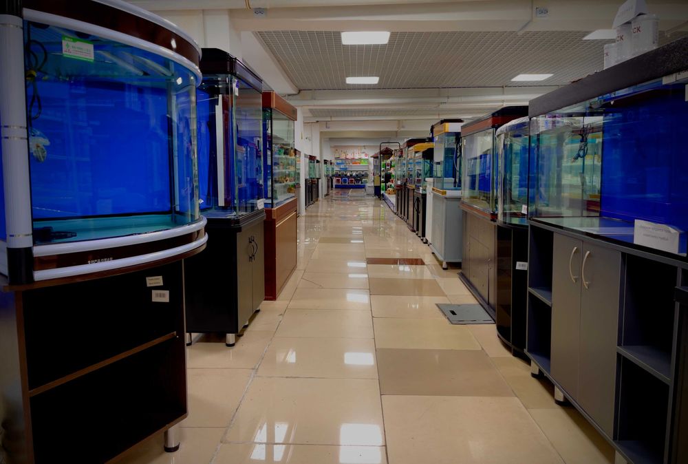 Аквариумы в большом ассортименте в "Живом Мире" на Толе би