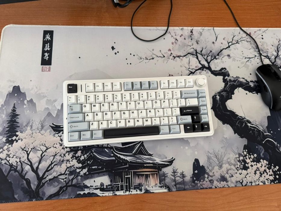 Rtx 4060 windows 10 pro