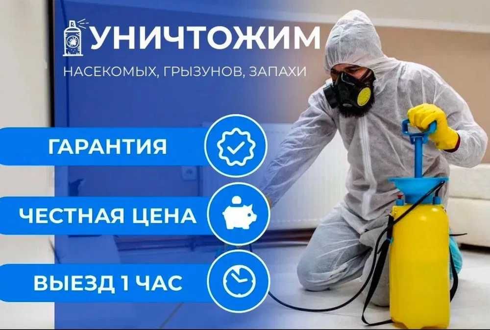 Клопы тараканы дезенфекция  ГАРАНТИЯ РЕЗУЛЬТАТА