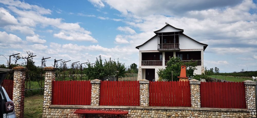 Casa 6 camere cu subsol sibteren 4000mp