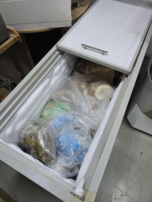 Congelator — Lada frigorifica