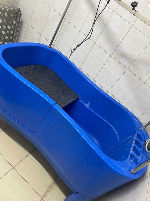 Cada fixa toaletaj canin