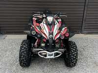 Can Am Renegade 800R