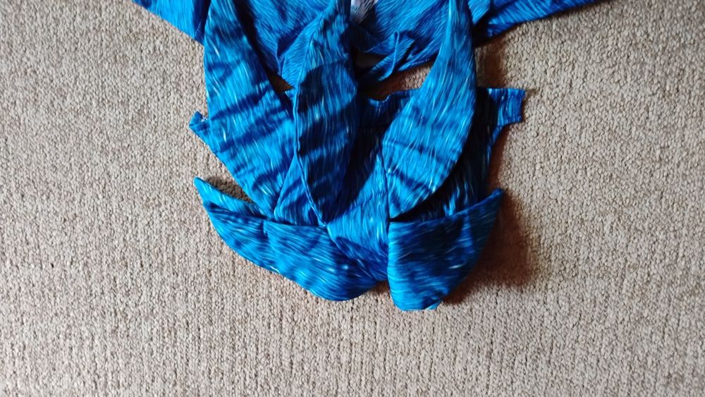 Costum carnaval Sonic