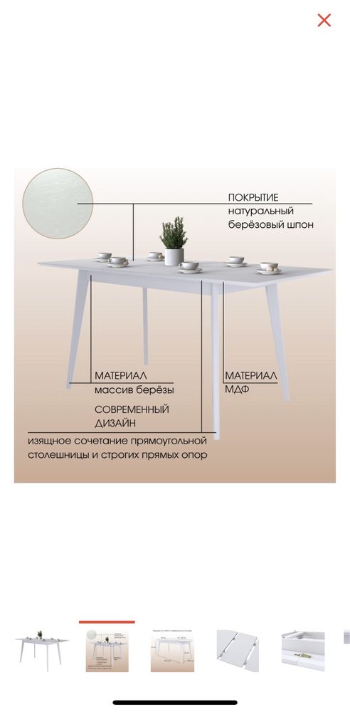 Стол и 8 стульев