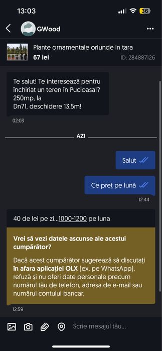 Vand copaci ornamentali mesteacan tei frasin artar platan pret minim