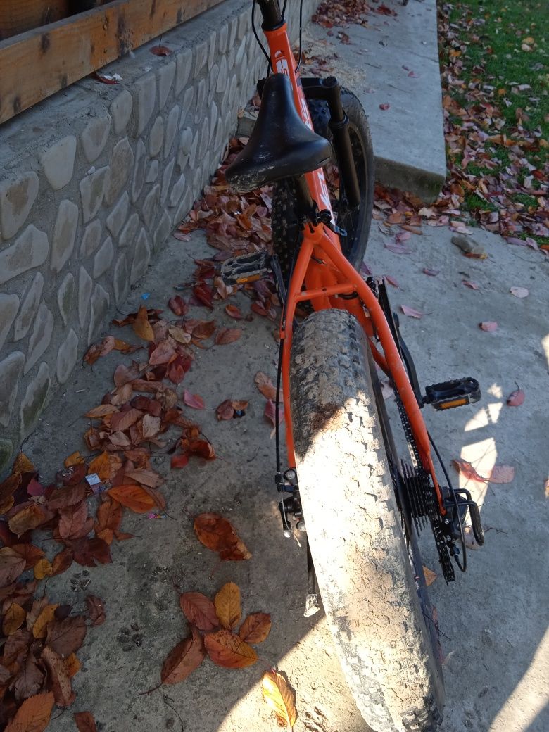 Bicicleta fat bike velorose hercule