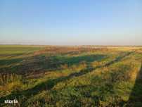 Lipia deschidere la DJ 101B ( Snagov-Nuci)