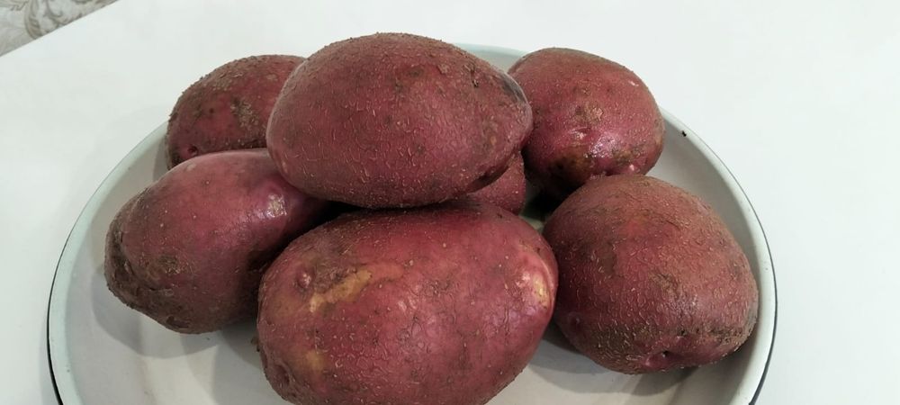 Продам картофель