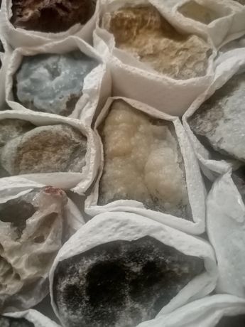 Страхотен лот от фосили и минерали
