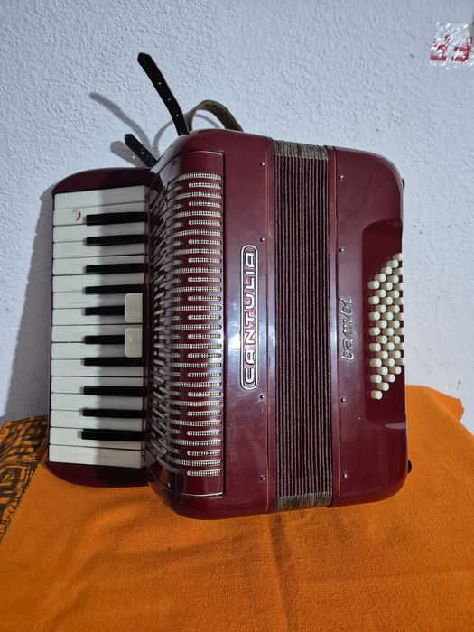 Acordeon Cantulia 40 bass stare ca nou