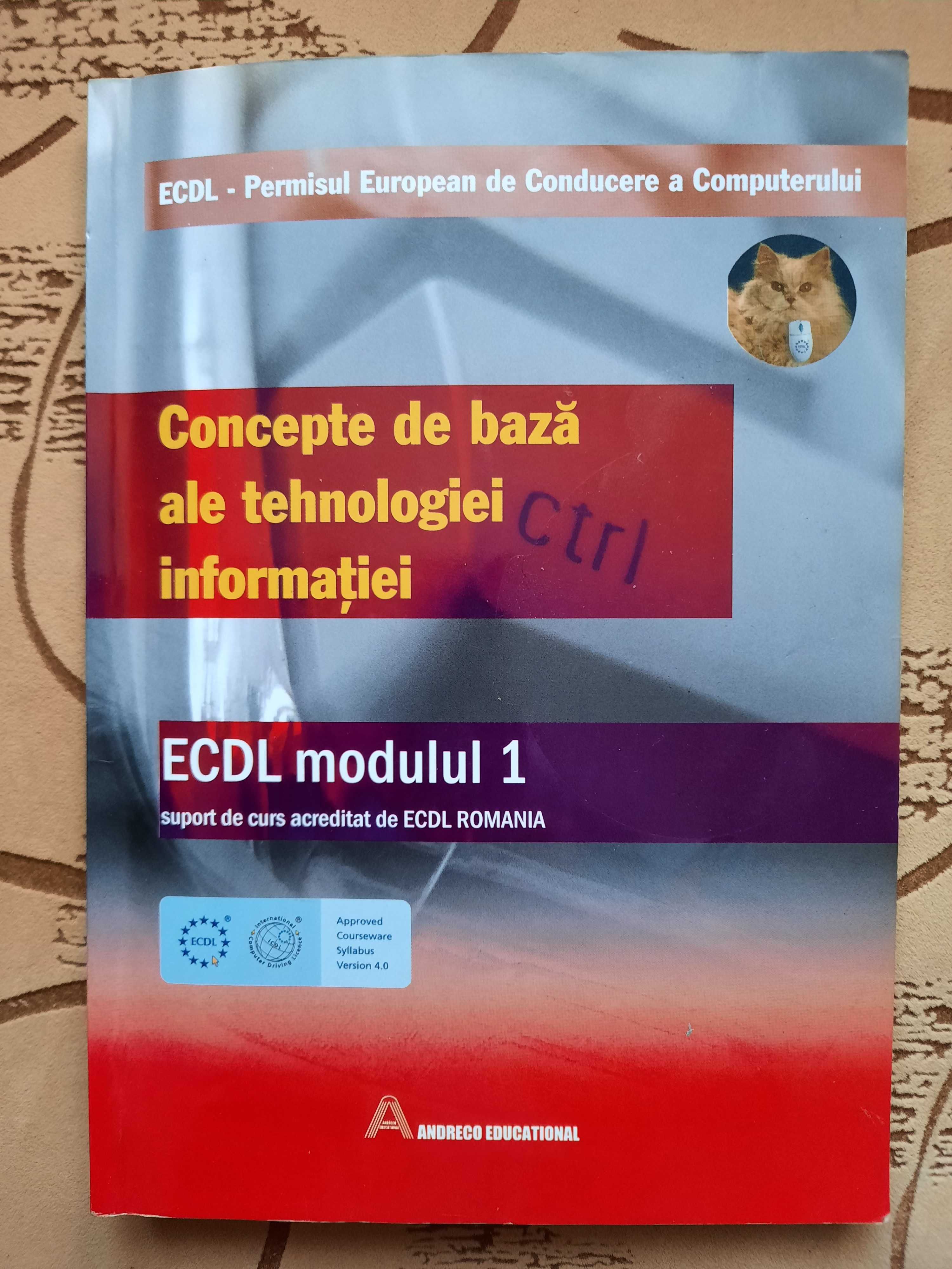 Manual ECDL Calcul tabelar - Microsoft Excel, Manual ECDL Baze de date