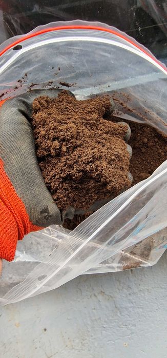 БиоТор-Биохумус от калифорнийски червей (Верикомпост)