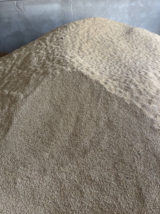 Vând orz ambalat la sac