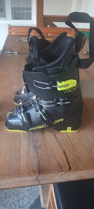 Schiuri și clăpari