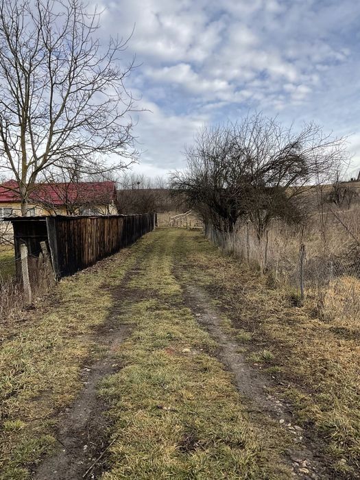 Vand 1524 teren in Martinesti,zona frumoasă